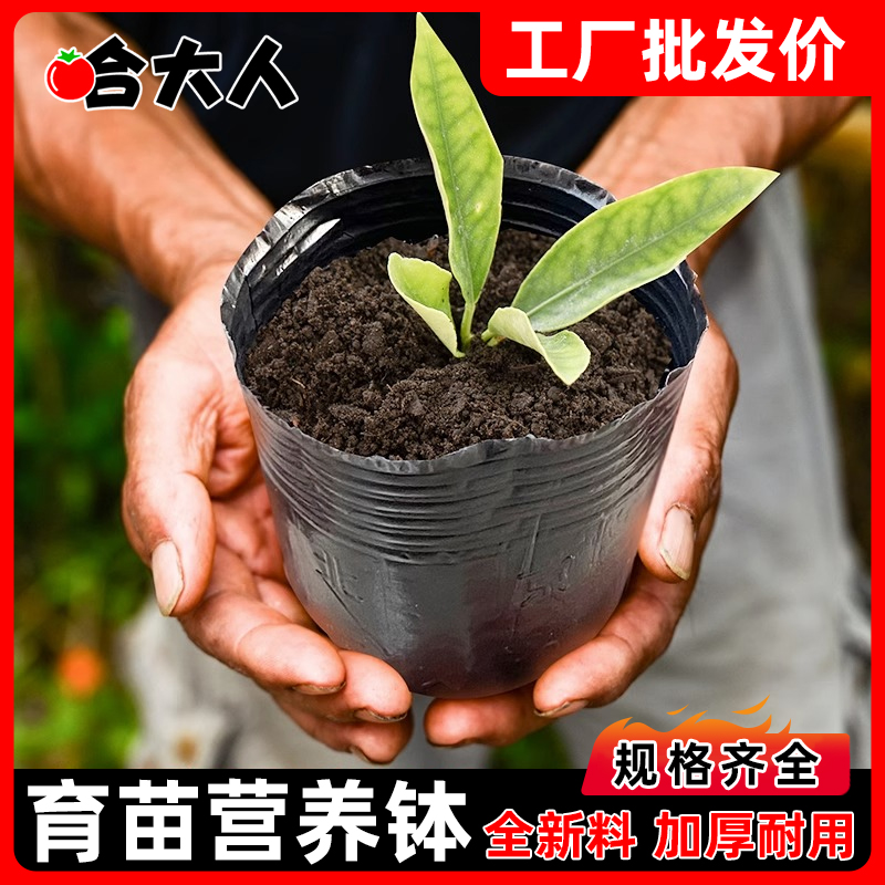 育苗营养杯育苗袋大号一次性花盆黑色种植塑料育苗杯育苗盆营养钵