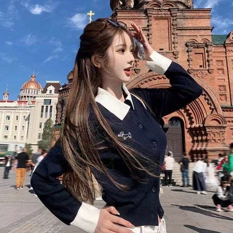 韩系氛围感小狗刺绣学院