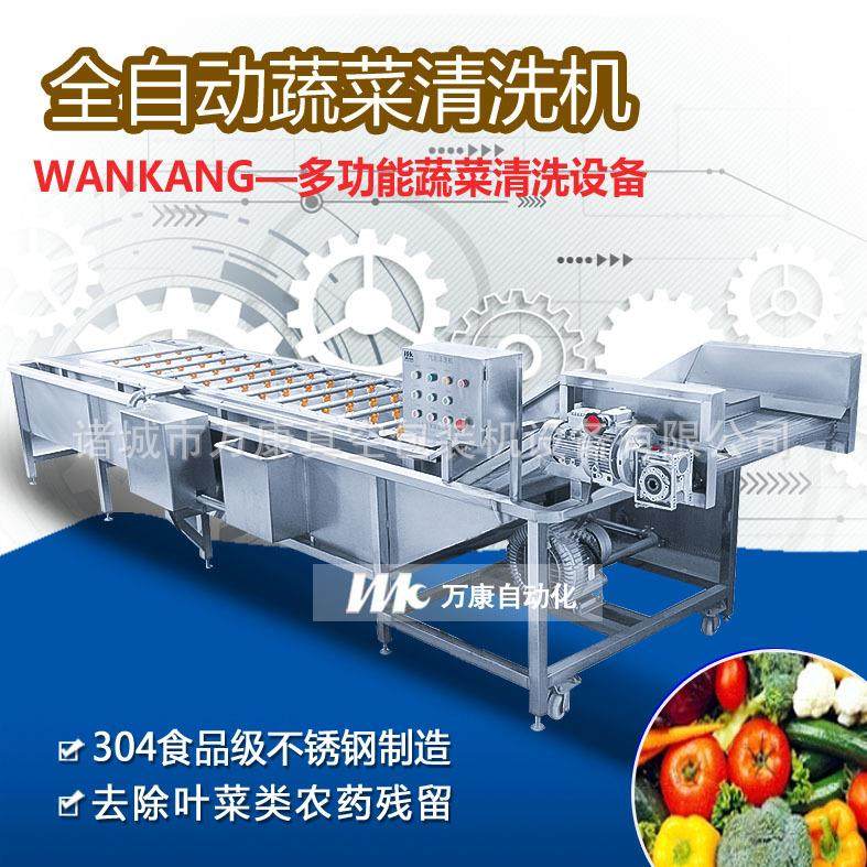 蔬菜清洗机 香菜欧芹去泥土气泡清洗机 全自动连续式洗菜机现货