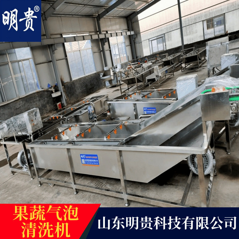 多功能果蔬气泡清洗机  气泡喷淋蔬菜清洗机  西红柿洗菜机