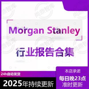 2025年大摩研报Morgan Stanley投行研究报告摩根士丹利数据分析