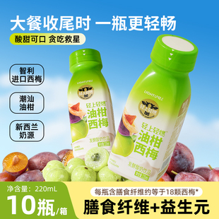 轻上油柑西梅酸奶饮品0添加蔗糖饮料发酵酸奶饮料酸甜解腻一整箱