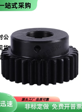 标准直齿轮 VNR43-3.0-17-B30-B-P14N P15N P16N P18N  P20N P22N