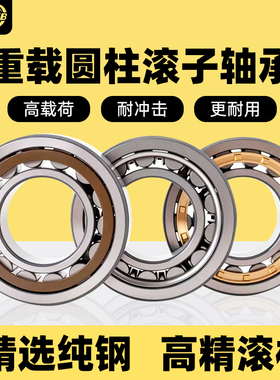 进口EVB重载圆柱滚子轴承型号大全NU202NJ203NUP207RN204205NF206