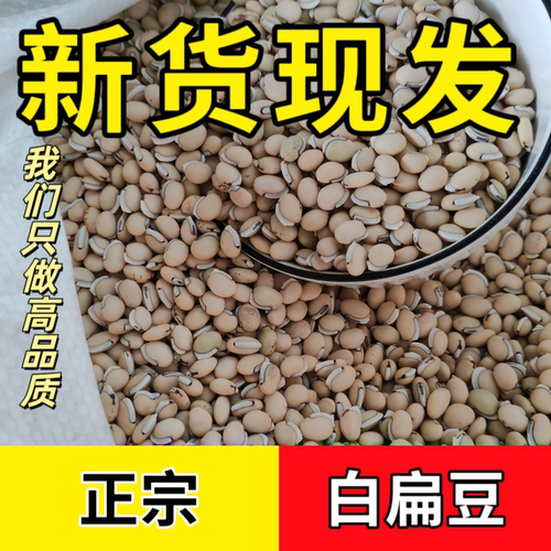 云南正宗老品种白扁豆可药用食用扁豆农家自种2025新货饱满