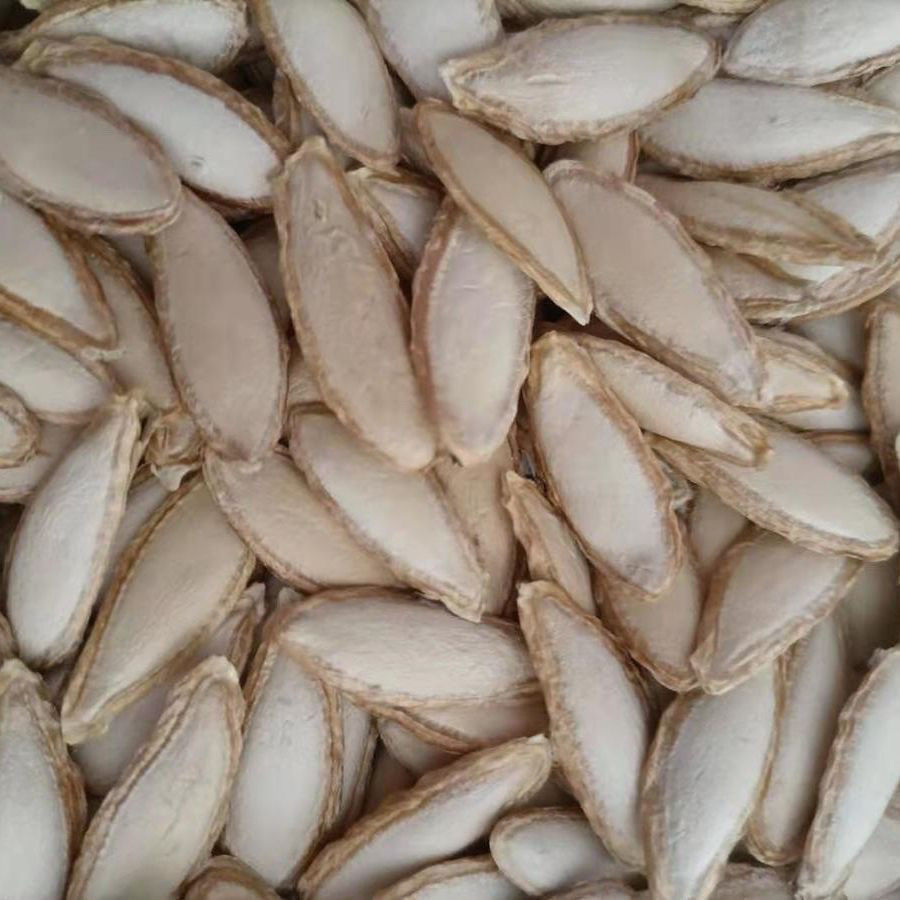 新货老品种长毛香1斤山地种云南毛边南瓜子农家晒干生瓜子零食