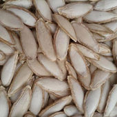 新货老品种长毛香1斤山地种云南毛边南瓜子农家晒干生瓜子零食