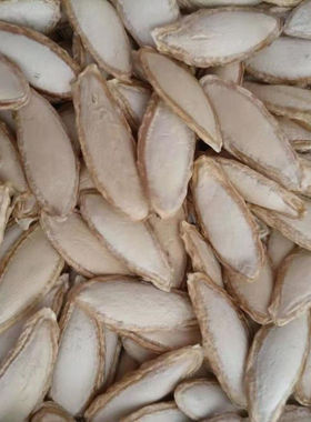 新货老品种长毛香1斤山地种云南毛边南瓜子农家晒干生瓜子零食