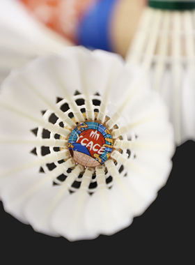 鸿箭YCACE 全软木鹅毛球国际赛事高端比赛羽毛球对标F90 亚U