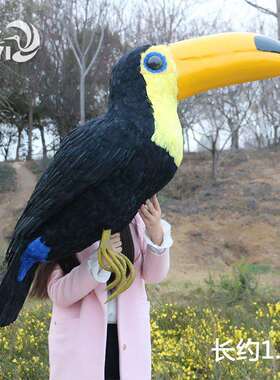 仿真羽毛大嘴鸟巴西巨嘴鸟/羽毛工艺品橱窗摆件家居装饰摄影道具