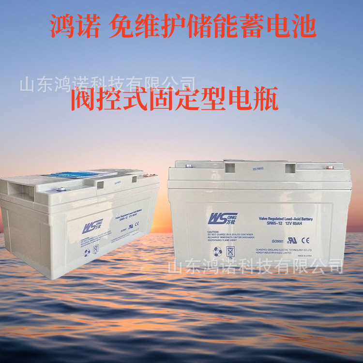 WSONG铅酸免维护12V100Ah蓄电池