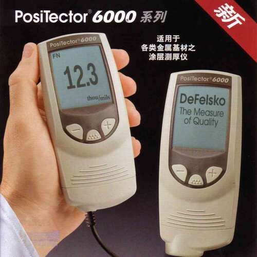 狄夫斯高DeFelsko涂镀层测厚仪 膜厚仪6000FLS3 F型探头0~38mm