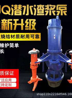 ZJQ抽沙机抽沙泵吸沙机砂泵3寸4寸河底泥浆泵NSQ潜水渣浆水泵