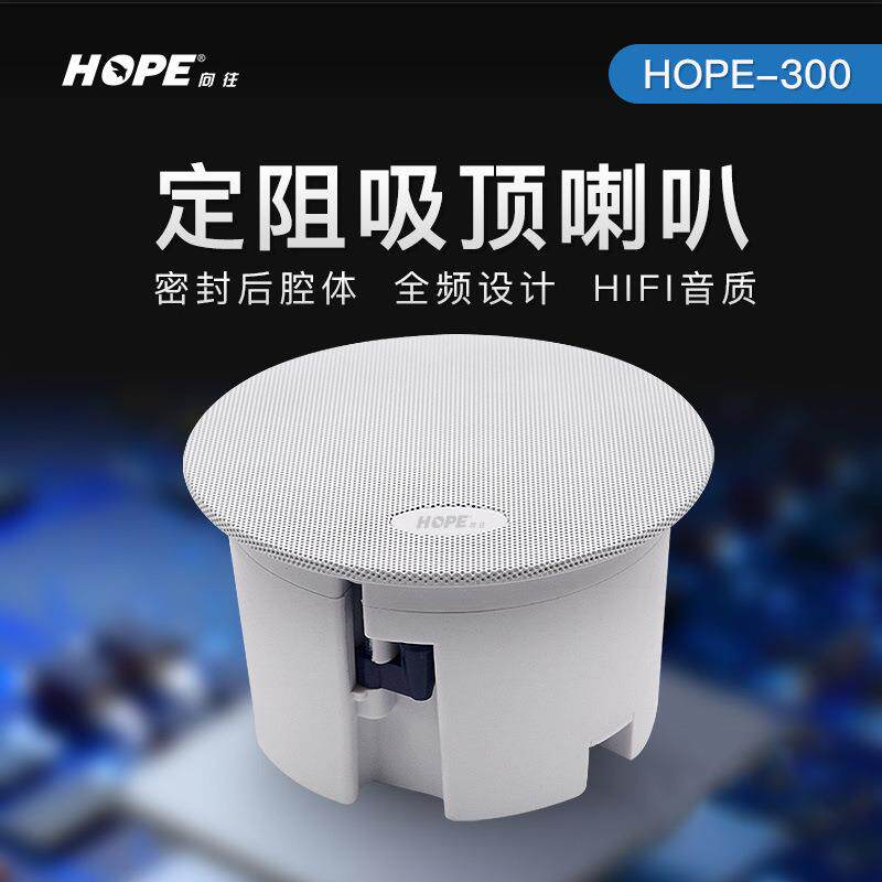 HOPE/向往300背景音乐功放定阻同轴喇叭吊顶喇叭套装