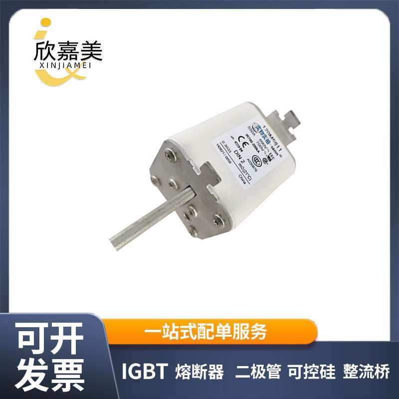 170M5811 170M5811D  快速熔断器  保险丝 电子元器件 量大价优