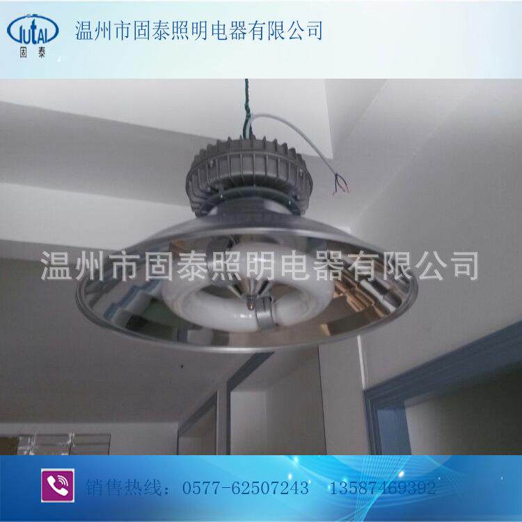 GC008--150W广照型无极灯200W250W300W防水防尘工厂灯
