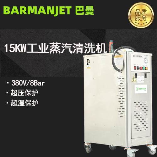 15KW工业蒸汽清洗机BST15K去油污水蒸气高温消毒工业养殖场清洗
