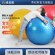 感统训练器材 家用大龙球儿童感统训练前庭失调平衡早教儿童玩具