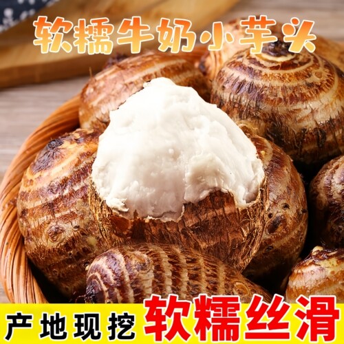 现挖牛奶小芋仔新鲜芋子香甜软糯应季芋头芋艿当季蔬菜2斤3斤5斤