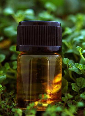 Peppermint Oil 100ml natural pure mint oil pure peppermint