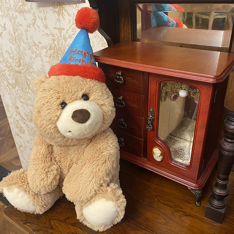 PASSGIRL原创生日泰迪小熊玩偶