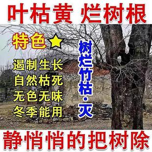 烂剂刹王除树剂大树枯树死死树烂强力大树树根大树杀一滴除树根药