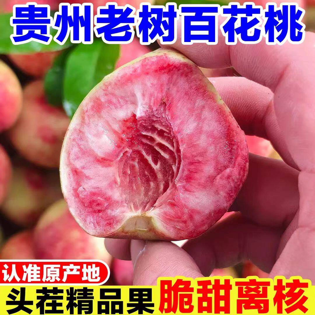 正宗贵州毕节百花桃 老品种脱骨桃 红心毛桃水蜜桃新鲜产地直发