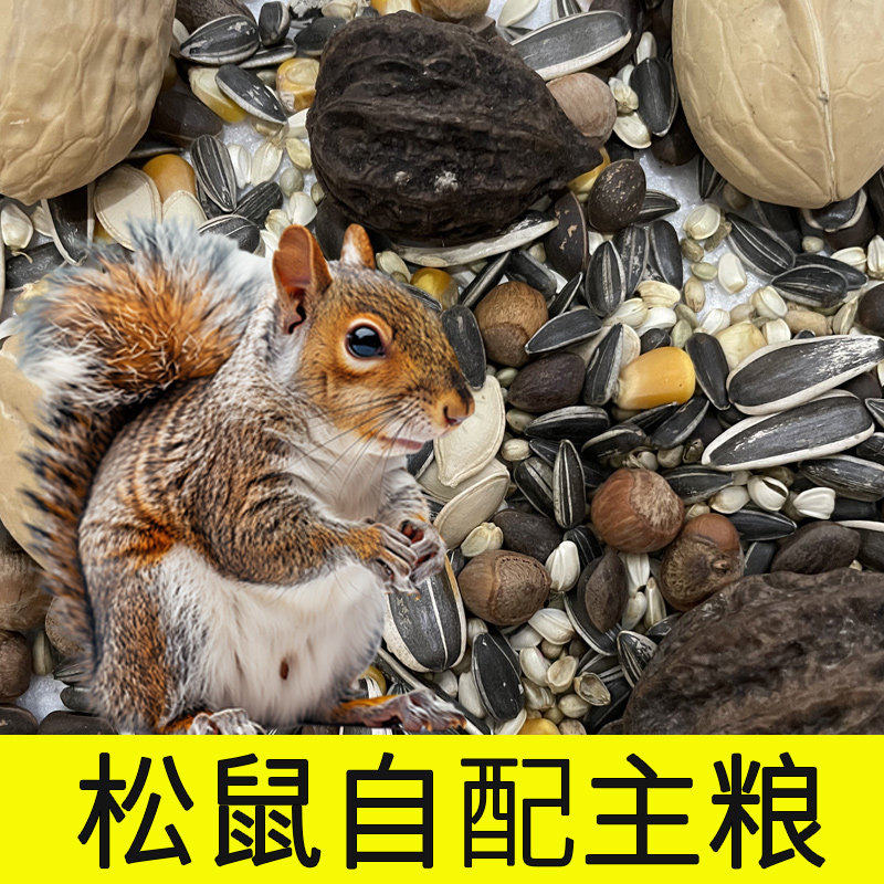 松鼠粮食主食生坚果松子