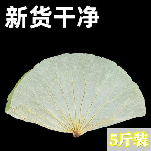 2025干荷叶产地直发荷叶鸡