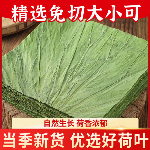 22cm荷叶糯米鸡专用干荷叶整张
