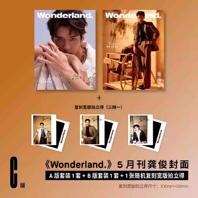 官方正版 计入销量 新视线Wonderland 龚俊 敖瑞鹏官方套装 龚俊/张新成  许嵩A/B  敖瑞鹏 新视线期刊杂志
