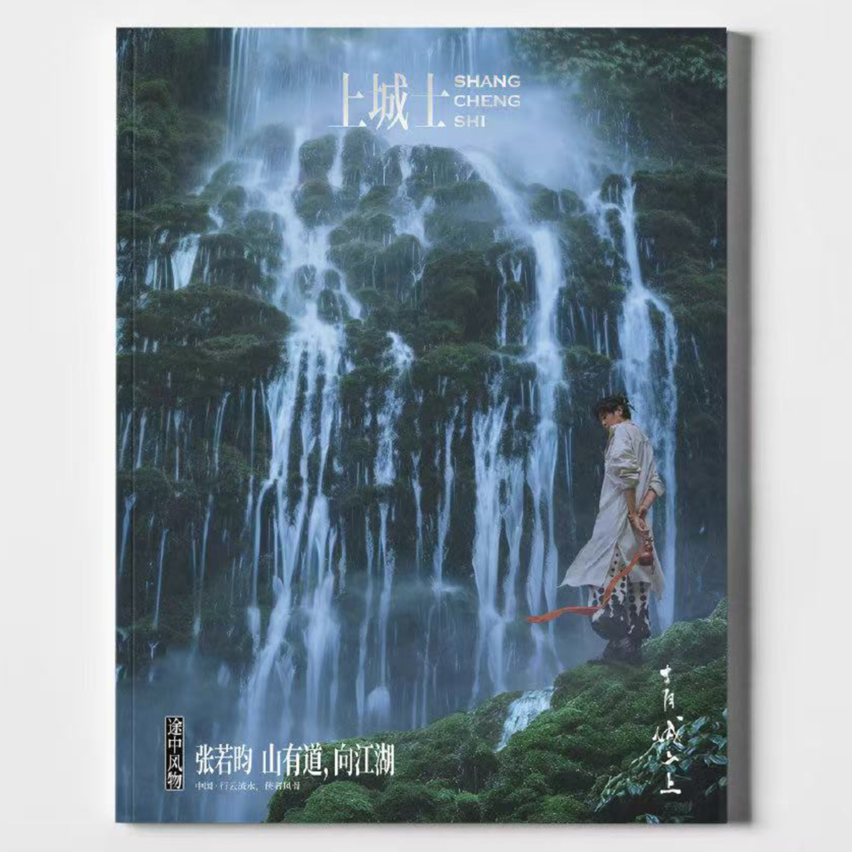 计入销量途中风物上城士2025年