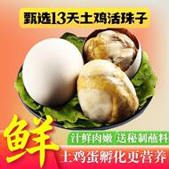 香辣活珠子熟香辣开袋即食香辣新鲜13天钢化蛋五香味无辣不欢