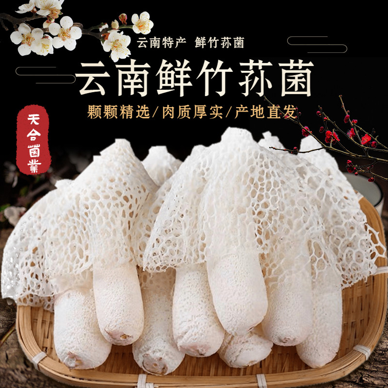 新鲜竹荪菌菌菇云南菌红托竹荪竹笙竹参蘑菇菌类山珍美味食材食用