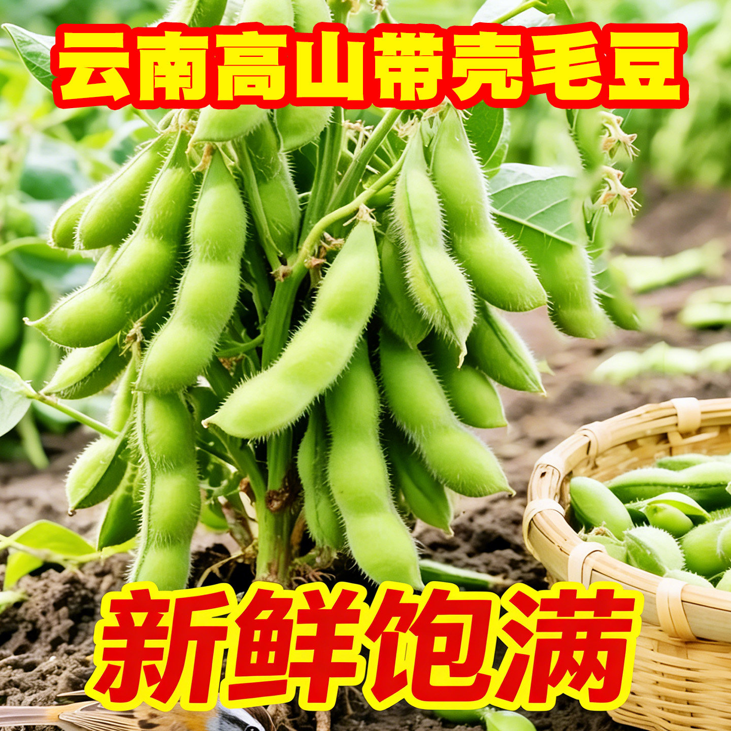 云南农家自种高山毛豆新鲜带壳大青豆现摘现货当季时令蔬菜整箱
