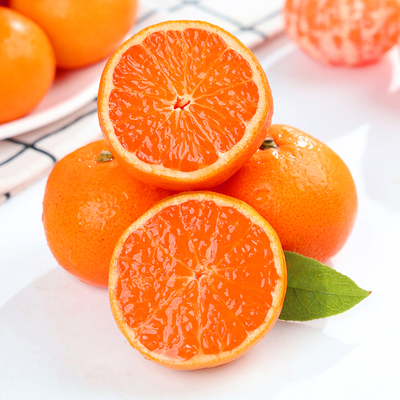 浙江台州临海黄岩涌泉蜜桔橘子大果10斤整箱当季新鲜应季时令水果