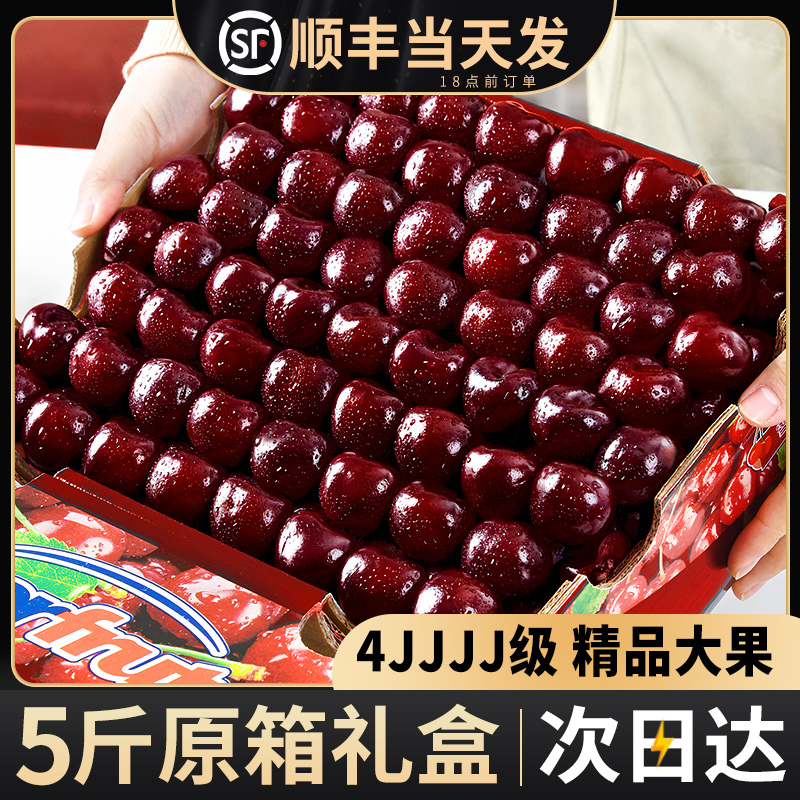 智利车厘子5斤礼盒装大樱桃