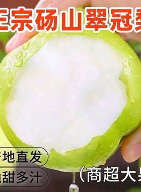 梨子新鲜水果砀山青梨皇冠梨当季翠冠梨香酥脆蜜早雪梨包邮