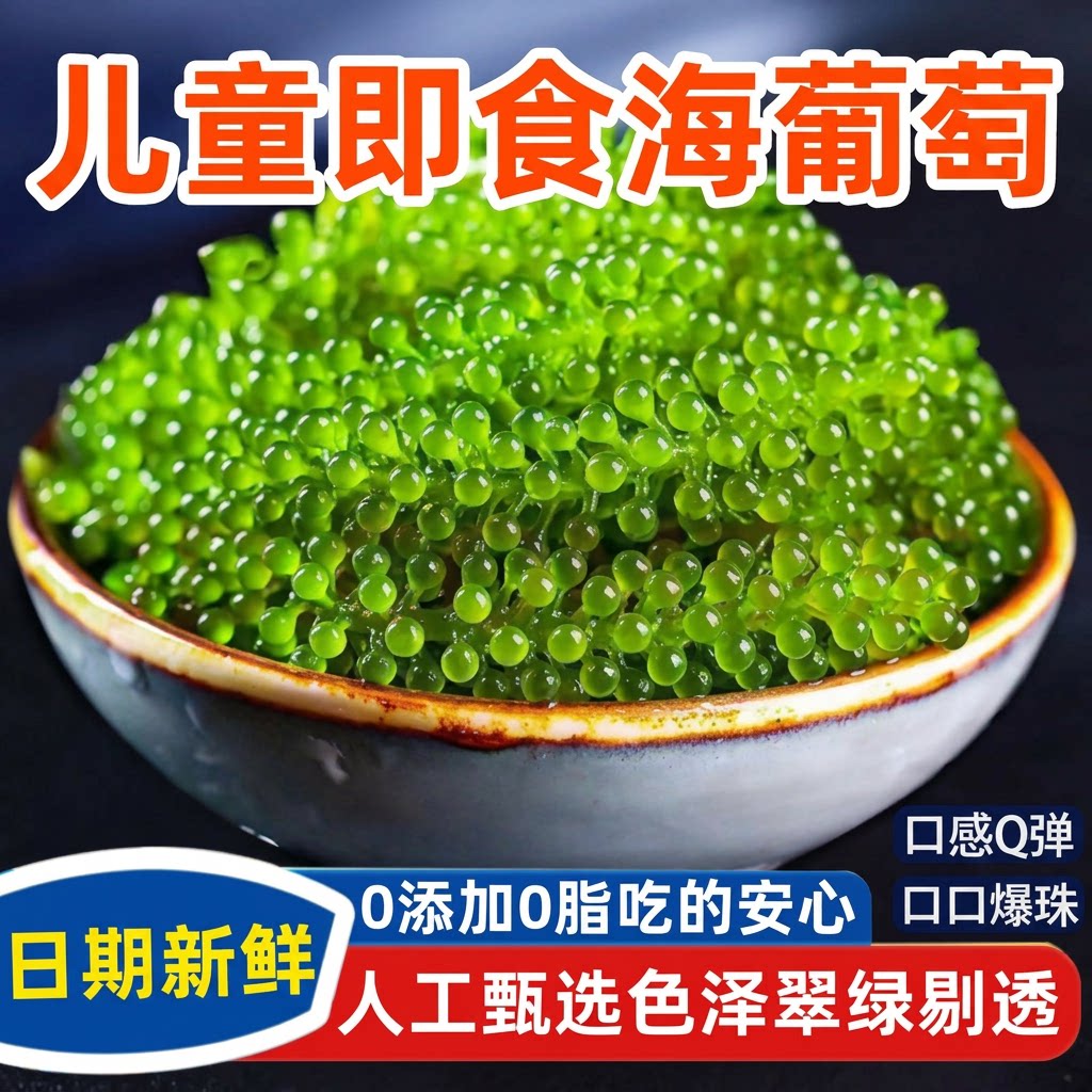 海葡萄新鲜儿童即食水葡萄绿色鱼子酱海藻凉拌菜水葡萄