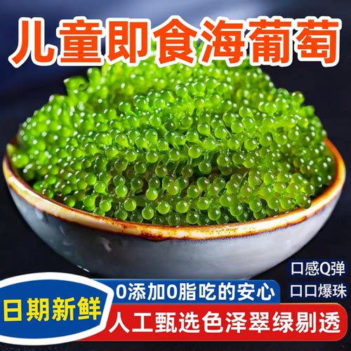 海葡萄新鲜儿童即食水葡萄绿色鱼子酱海藻凉拌菜水葡萄
