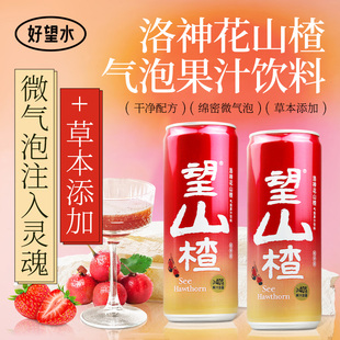 好望水望山楂易拉罐碳酸饮料330ml/罐果汁气泡水饮料聚餐聚会便携
