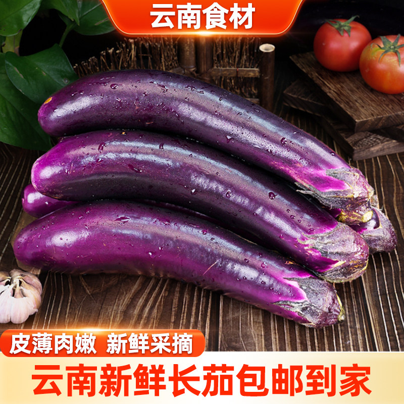 滇鲜生云南新鲜紫长茄当季农家茄子蔬菜自种紫把现摘蔬果食物鲜嫩