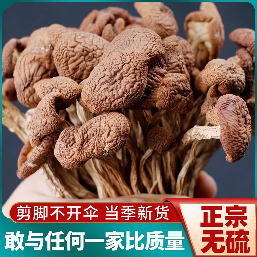新季茶树菇古田农产干货茶树菇不开伞茶新菇500g新货菌菇包邮无硫