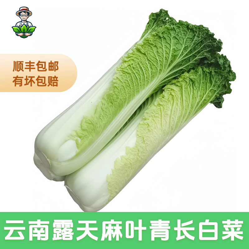 云南高山香甜软糯麻叶青大白菜
