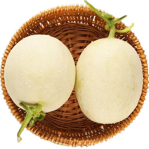 阎良甜瓜陕西甜瓜头茬新鲜水果自然熟产地直发整箱包邮