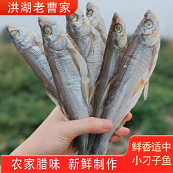 洪湖特产阳干小刁子鱼翘嘴鱼干白条鱼淡水鱼自然风干鱼整条新鲜