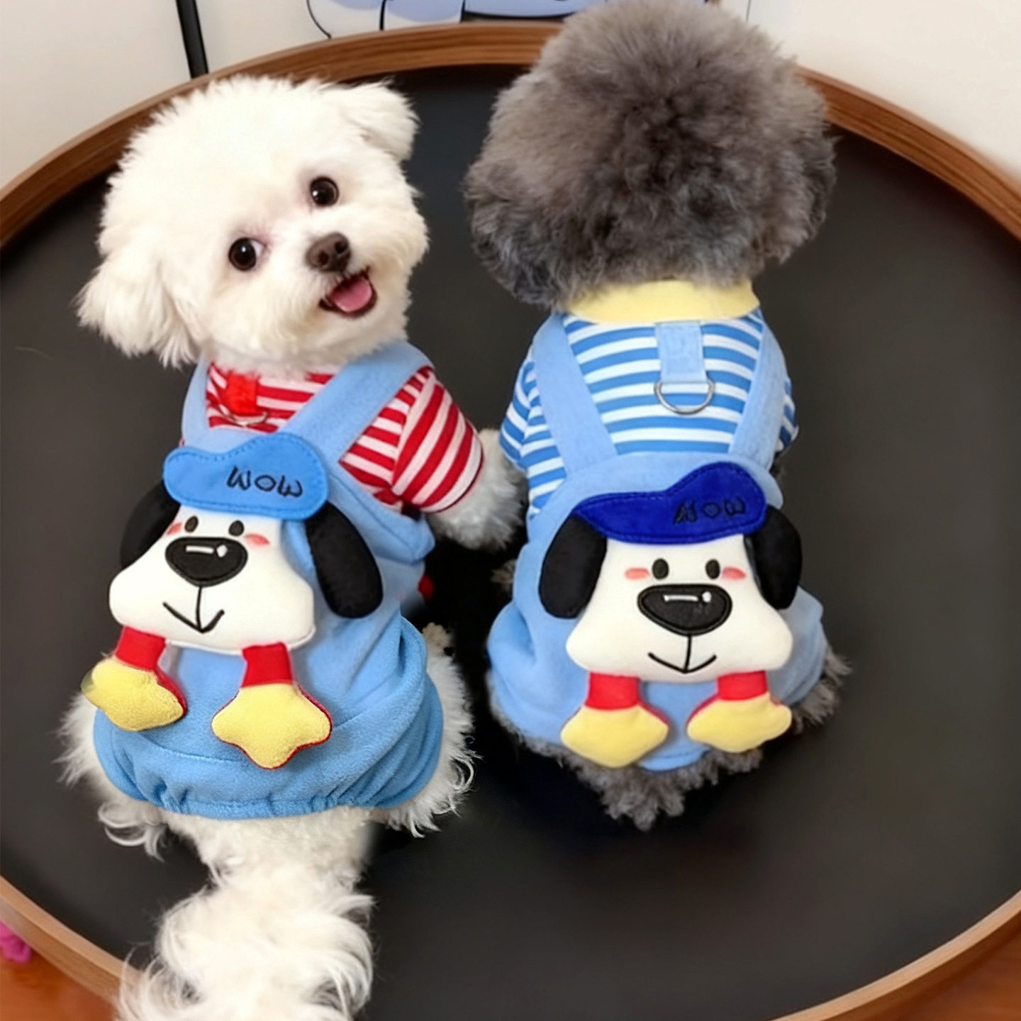 狗狗衣服秋冬装可爱泰迪比熊博美小型幼犬猫咪可牵引四脚宠物保暖