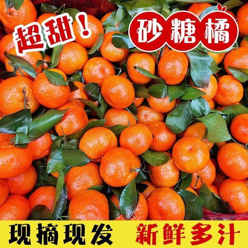 正宗广西砂糖橘桔子现摘新鲜当季薄皮橘子水果纯甜沙糖桔