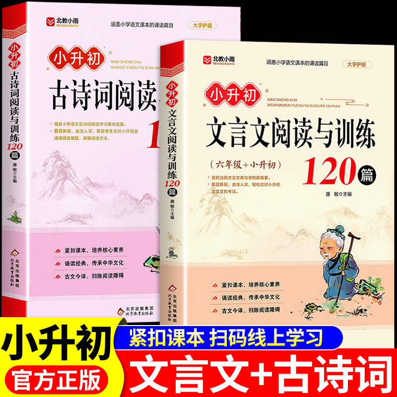 小升初必背古诗词和文言文阅读与训练120篇配套人教版小学生文言文全解一本通初中2025六年级总复习2026小学语文课外阅读专项训练K