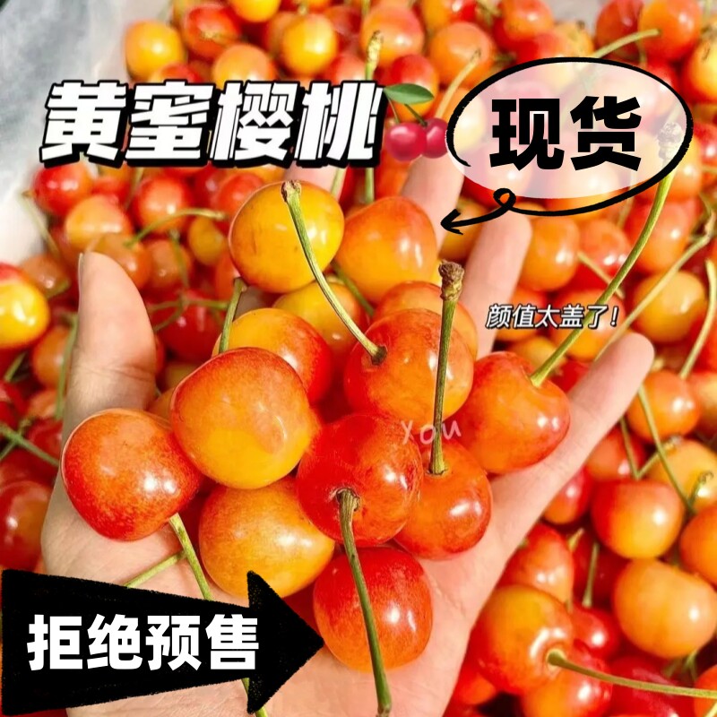 现货山东黄樱桃露天烟台黄水晶黄色黄蜜国产车厘子新鲜水果孕妇吃